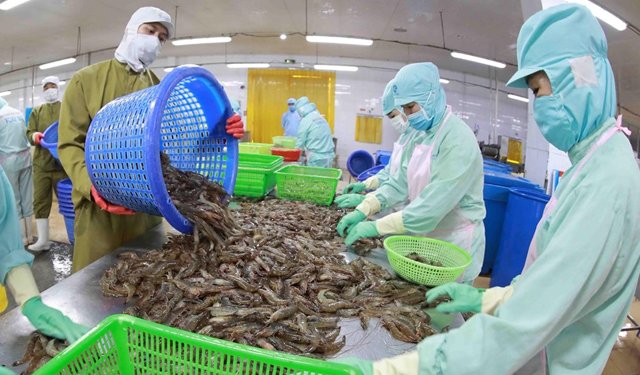 Vietnam. Quasi 2 miliardi di euro di export ittico nel 2022