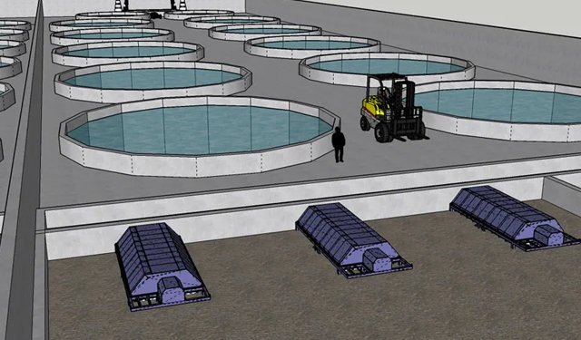 SEAentia-Food cresce con BlueInvest -