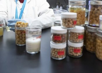 Acquacoltura. Si intensifica la ricerca di mangimi più sostenibili