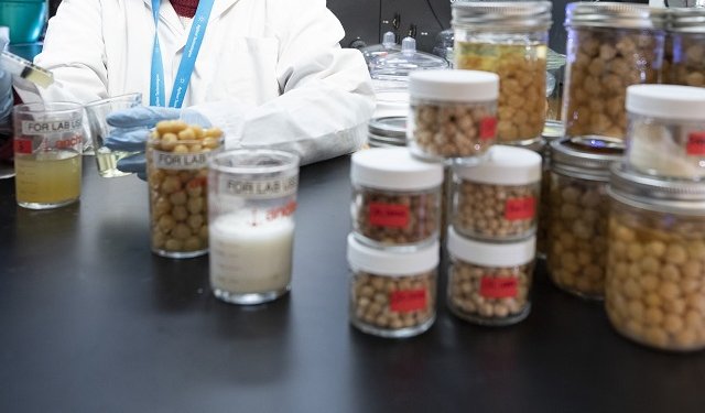 Acquacoltura. Si intensifica la ricerca di mangimi più sostenibili