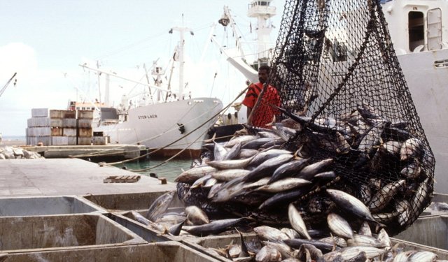 Approvate linee guida sul trasbordo contro la pesca INN