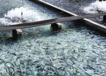 BIO-UV Group presenta la sua offerta completa ad Aquaculture Europe 2022