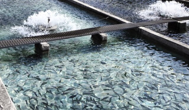 BIO-UV Group presenta la sua offerta completa ad Aquaculture Europe 2022