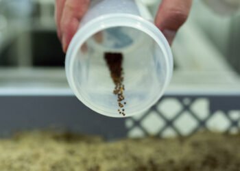 Economia circolare. Ad Aquaculture Europe i cinque principi per l'acquacoltura