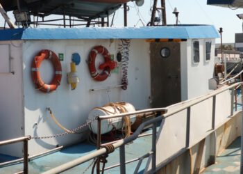 Federpesca: proposta La Pietra per cambio di paradigma basato su possibilità e non negazioni