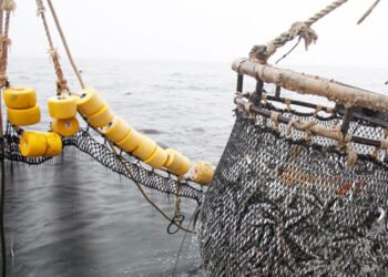 Gli sbarchi di pesca in Perù cresciuti a luglio di oltre il 67%