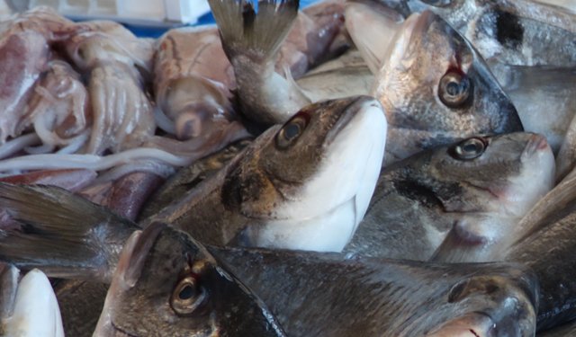 Il 26% degli italiani taglia il consumo di pesce