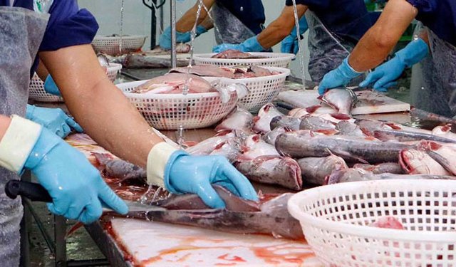 Il Vietnam aggiunge valore alla sua produzione ittica