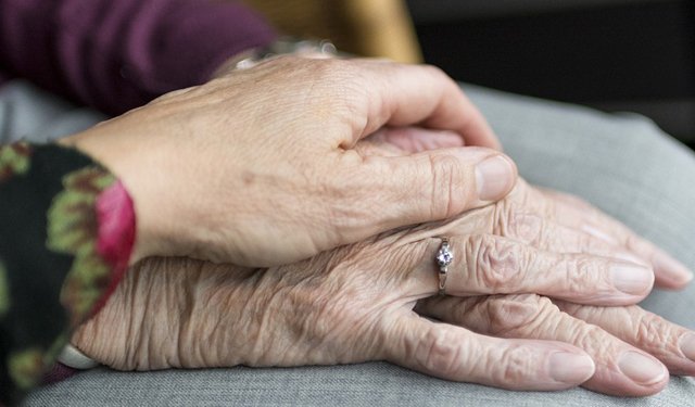 Il consumo di pesce aiuta a prevenire l'Alzheimer