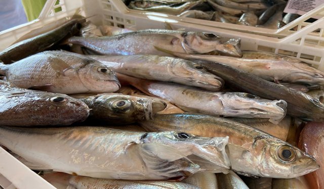 Il pescato ibleo vola a Torino per il Salone del Gusto