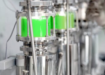 In Israele un impianto per la produzione di proteine ​​da microalghe