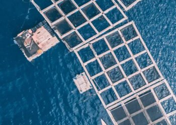 Inalve. Soluzione efficace per allevamento larve in acquacoltura