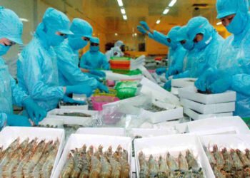 L'EVFTA agevola le esportazioni di prodotti ittici dal Vietnam