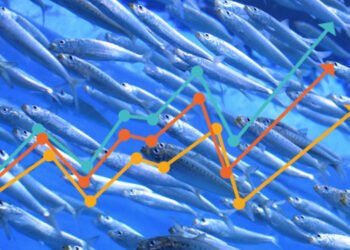 La Bussola: Blue Economy