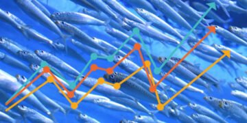 La Bussola: Blue Economy