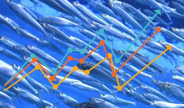 La Bussola: Blue Economy