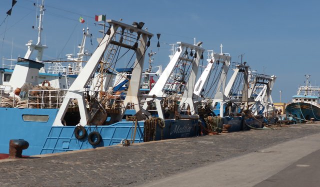 ricambio generazionale nella pesca