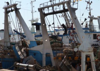 La bussola. Valorizzazione della pesca a strascico italiana