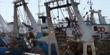 La bussola. Valorizzazione della pesca a strascico italiana