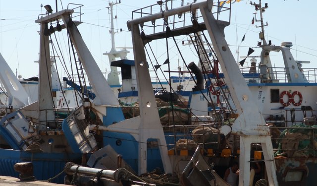 La bussola. Valorizzazione della pesca a strascico italiana