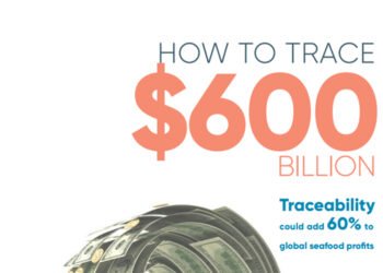 La tracciabilità potrebbe aumentare del 60% i profitti dei prodotti ittici