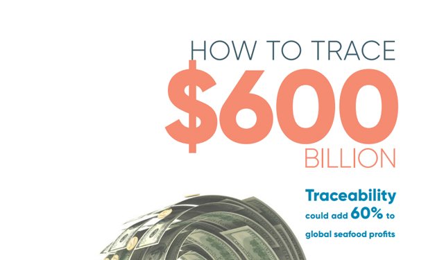 La tracciabilità potrebbe aumentare del 60% i profitti dei prodotti ittici