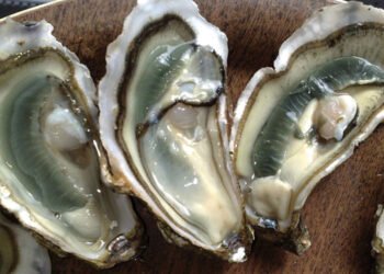 Le ostriche di Marennes Oleron conquistano i mercati asiatici