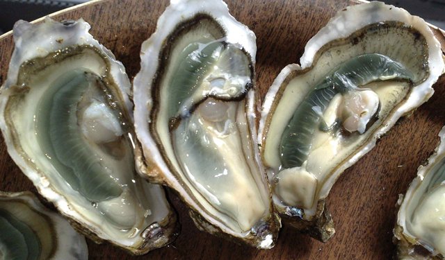 Le ostriche di Marennes Oleron conquistano i mercati asiatici