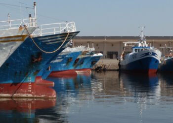 MiPAAF: Nel Dl Aiuti ter aiuti per l’agricoltura e la pesca