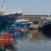 MiPAAF: Nel Dl Aiuti ter aiuti per l’agricoltura e la pesca