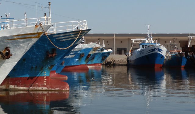 MiPAAF: Nel Dl Aiuti ter aiuti per l’agricoltura e la pesca