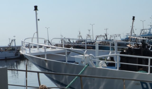Alleanza Cooperative, prorogata al 30 novembre scadenza contratti di filiera