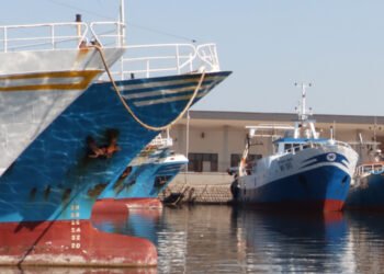 Pesca: Alleanza Cooperative chiede proroga credito di imposta