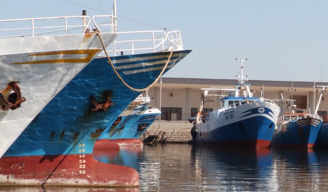 Pesca: Alleanza Cooperative chiede proroga credito di imposta