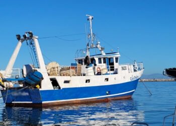 Firmata la proroga per i contratti di filiera pesca e acquacoltura