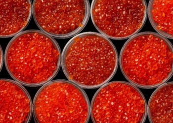 Il consumo globale di uova di salmone e trota al centro del report EUMOFA