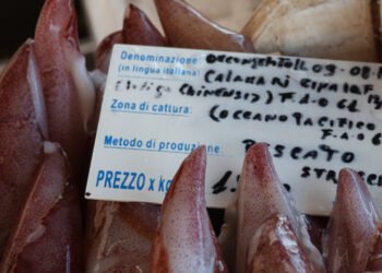 La bussola. Consumatori più informati e valorizzazione dei prodotti ittici nostrani