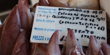 La bussola. Consumatori più informati e valorizzazione dei prodotti ittici nostrani
