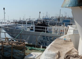 La bussola. La licenza di pesca e le sue funzioni amministrative e gestionali -