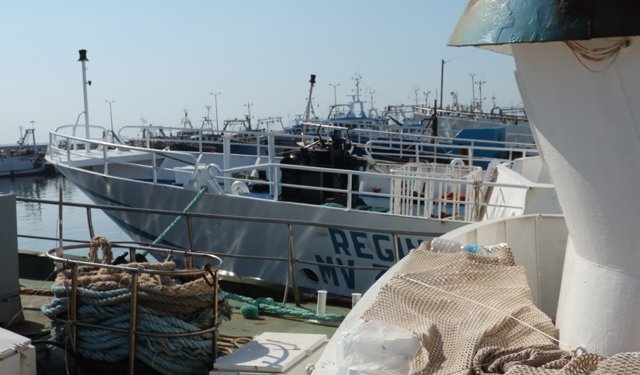 La bussola. La licenza di pesca e le sue funzioni amministrative e gestionali -