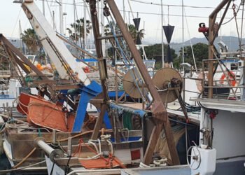 La pesca in Italia: lo stato attuale