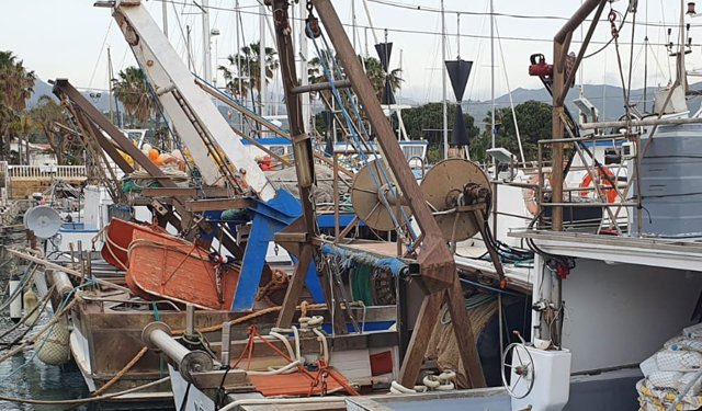 La pesca in Italia: lo stato attuale