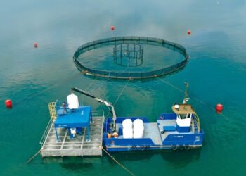 Ocean 14 Capital supporta allevamento sostenibile di tilapia