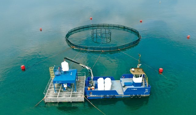 Ocean 14 Capital supporta allevamento sostenibile di tilapia