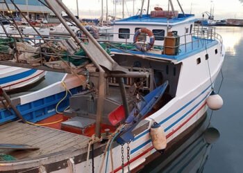 "Poveri ma ricchi”: due giorni tra pesce, vino e promozione enogastronomica