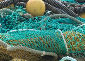 Rifiuti raccolti e prodotti in mare, progetti per i pescatori e a tutela dell'ambiente