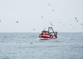 Valutata resilienza della pesca UE ai cambiamenti climatici