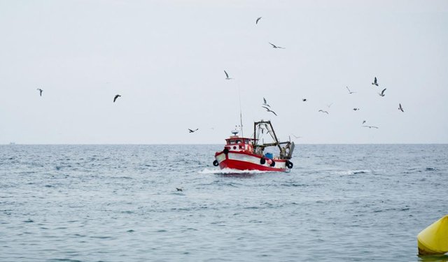 Valutata resilienza della pesca UE ai cambiamenti climatici