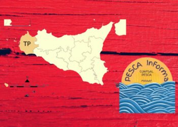Lavoro, sicurezza e produzione ittica: "Pesca InForma" fa tappa a Trapani