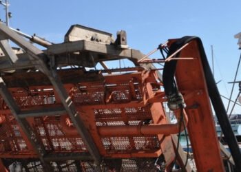 D'Amato: "Italiani uniti a Bruxelles per sostenere comparto vongole"